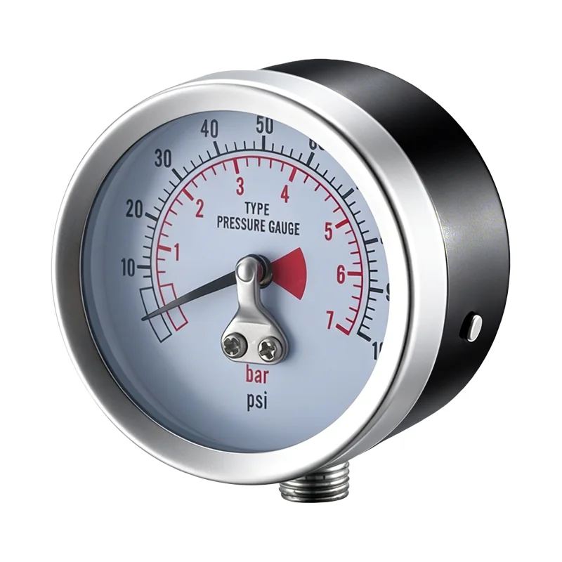 Diaphragm Pressure Gauge Manufacturer