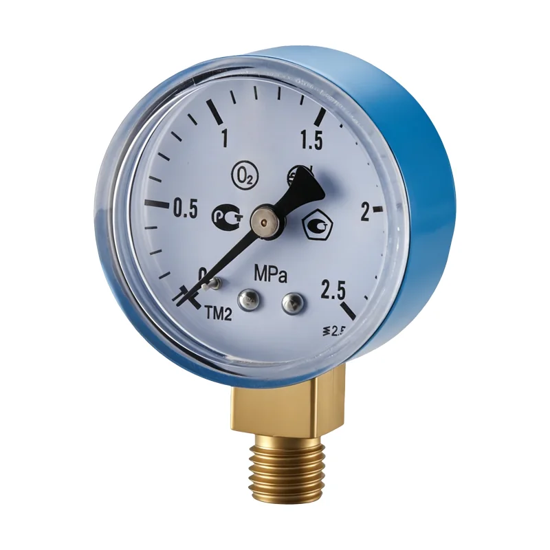 Explosion Proof Pressure Gauge Manufacturer